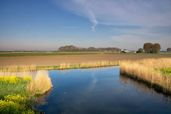 The Bakkerskil creek — Stock Photo, Image