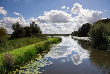 Enkele Wiericke 'ye bak