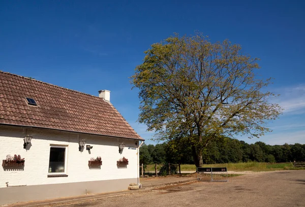 Hollanda Doğa Koruma Alanı yakınlarındaki hoş bir restoran.