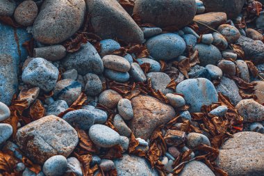 deniz taş ve çakıl artalanları doku