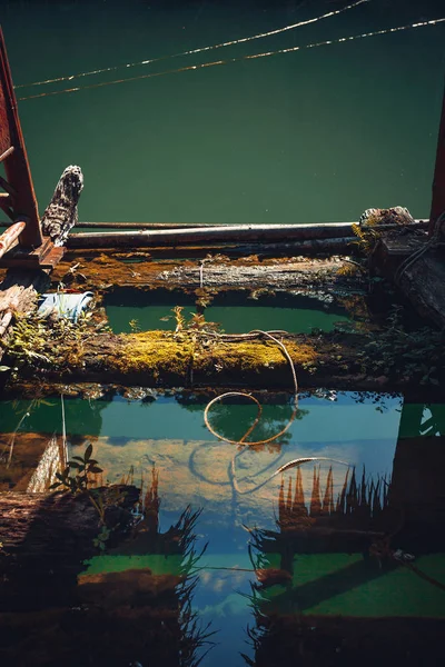 Old wooden pile under water. fragment of wooden bridge — Stock Photo, Image