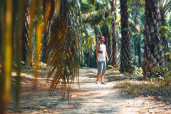 Fiatalember turista az úton trópusi erdő naplementekor — Stock Fotó