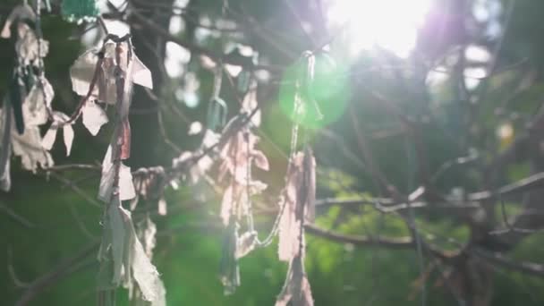 Nahaufnahme Von Boho Accessoires Hängen Auf Trockenem Ast — Stockvideo