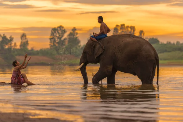 Mahout 2016年6月25日 骑大象在沼泽漫步与妇女沐浴在海岸上 泰国的苏林海滩 — 图库照片