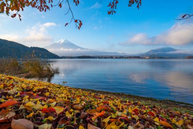 Görünümü güzel Fuji san ve Kawaguchiko Gölü, güzel sonbahar yaprakları ile popüler seyahat hedef