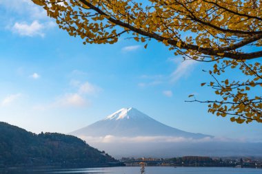 Görünümü güzel Fuji san ve Kawaguchiko Gölü, güzel sonbahar yaprakları ile popüler seyahat hedef