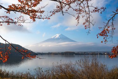 Güzel Fuji san ve Kawaguchiko Gölü sonbahar sezonu sabah sonbahar yaprakları ile