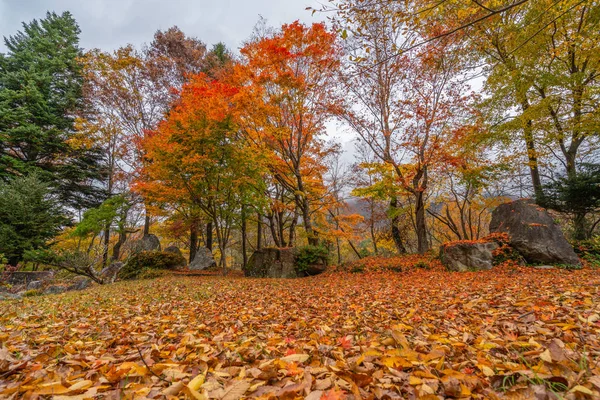 Schöner Herbst Mit Herbstblättern Und Felsen Neben Landstraße Japan — Stockfoto