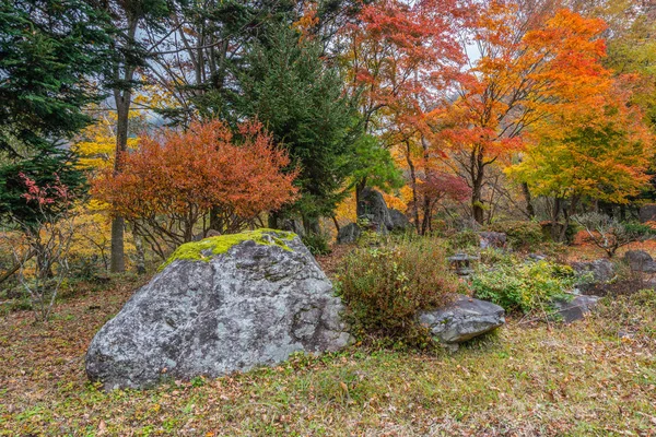 Красива Осінь Осінні Листи Рок Поруч Сільська Дорога Японії — стокове фото
