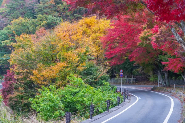 Сільська Дорога Красива Осінь Японії — стокове фото
