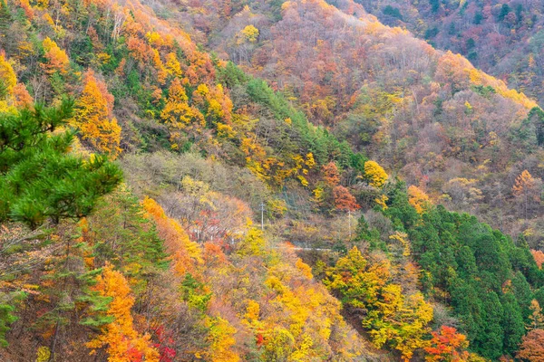 Hermoso Otoño Con Niebla Montaña Largo Del Camino Rural Japón — Foto de Stock