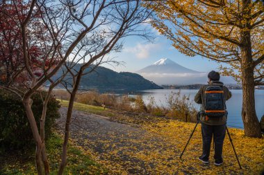 Yamanashi, Japan - 8 Kasım 2018: Fotoğrafçı alarak fotoğraf Fuji san Parkı: Yamanashi, Japan'tripod üzerinde kamera tarafından