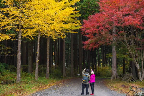 Šizuoka Japonsko Listopadu 2018 Pár Turistů Okružní Národním Parku Shizuoka — Stock fotografie