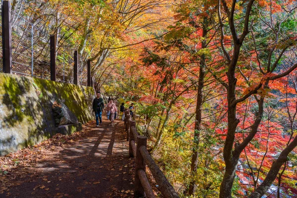 Yamanashi Japão Novembro 2018 Turistas Caminhando Belo Outono Para Passear — Fotografia de Stock