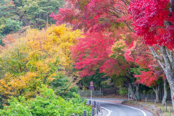 Estrada Rural Com Belo Outono Japão — Fotografia de Stock