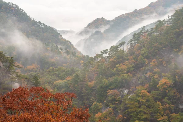 美丽的秋天与雾在山沿乡村路在日本 — 图库照片