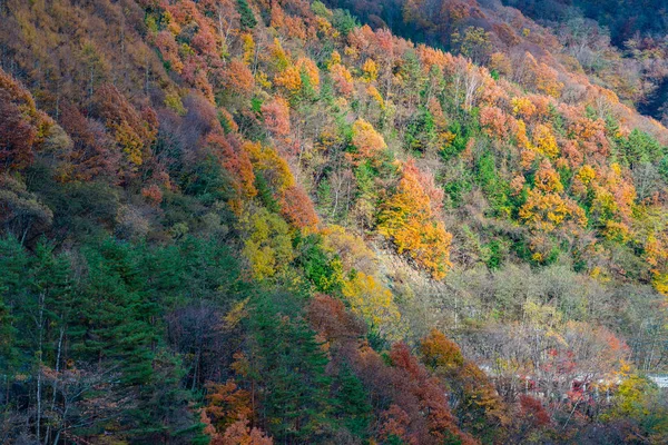 Belo Outono Montanha Longo Estrada País Japão — Fotografia de Stock