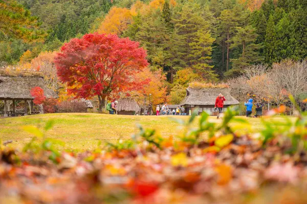 Yamanashi Japón Noviembre 2018 Turistas Haciendo Turismo Pequeño Jardín Público — Foto de Stock