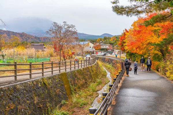 Yamanashi Japão Novembro 2018 Turistas Que Visitam Belas Folhas Outono — Fotografia de Stock