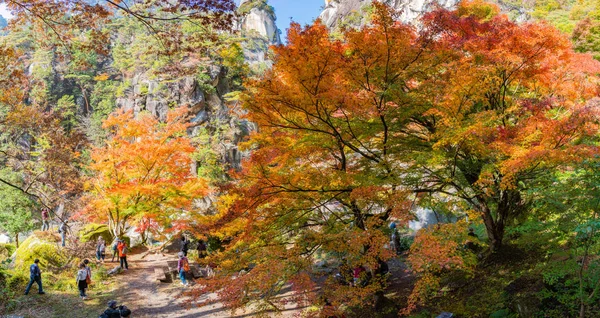 Yamanashi Japão Novembro 2018 Turistas Caminhando Belo Outono Para Passear — Fotografia de Stock