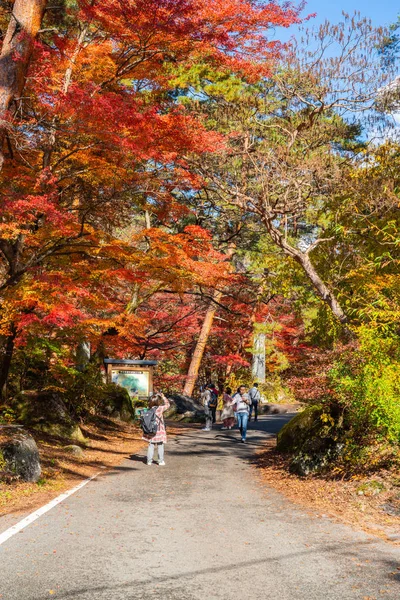 Yamanashi Japão Turistas Caminhando Belo Outono Para Passear Parque Nacional — Fotografia de Stock