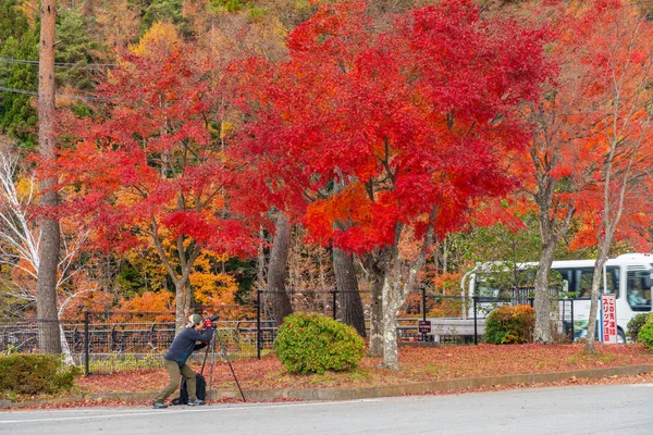Yamanashi Japão Novembro 2018 Fotógrafo Fotografando Tripé Folhas Outono Parque — Fotografia de Stock