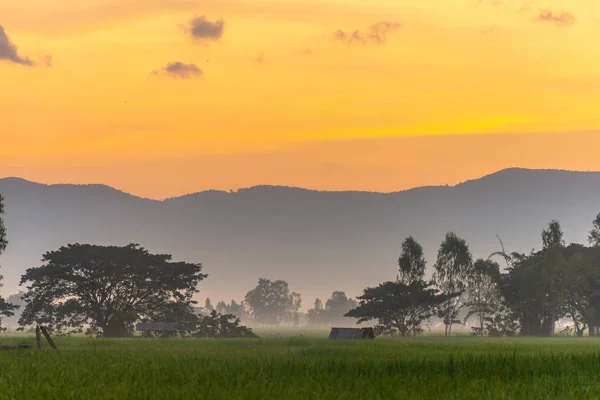 Hermosa Vista Del Amanecer Mañana Rural Tailandia — Foto de Stock