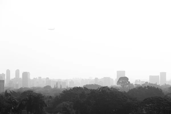 Blick Auf Den Ibirapuera Park Und Hintergrund Wohn Und Geschäftshäuser — Stockfoto