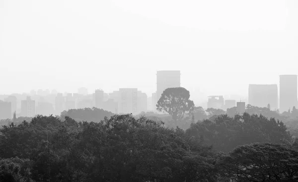 Vista Del Parque Ibirapuera Fondo Edificios Residenciales Comerciales Fotografiados Blanco —  Fotos de Stock