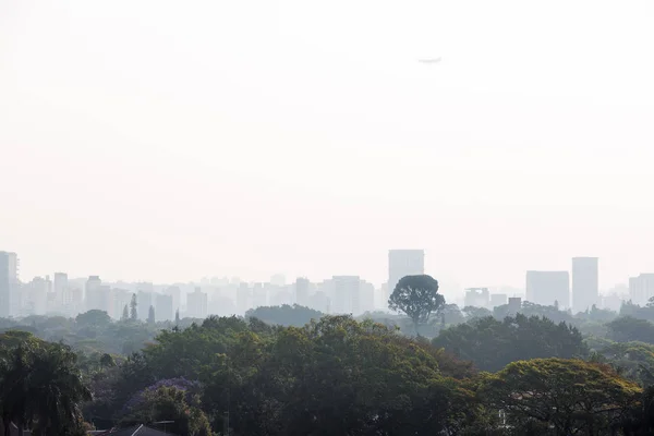 Ibirapuera Parkı Konut Ticari Binalar Fotoğrafı Siyah Beyaz Arka Plan — Stok fotoğraf