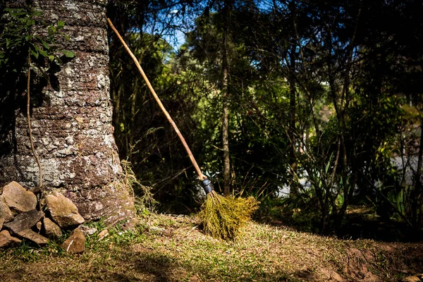 Vassoura Bruxa Floresta — Fotografia de Stock