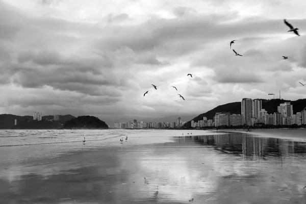 Santos Beach Fényképezett Fekete Fehér Közben Felhős Napon Brazília — Stock Fotó