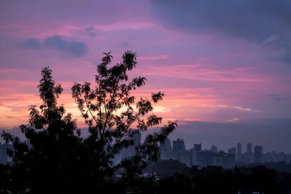 Detalhe Horizonte São Paulo Distrito Ibirapuera Jardins Durante Pôr Sol — Fotografia de Stock