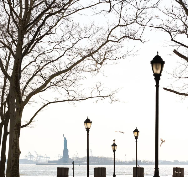 Vista de la estatua de la libertad desde Battery Park —  Fotos de Stock