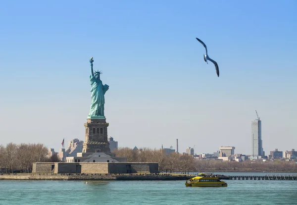 Gabbiano che vola verso la Statua della Libertà — Foto Stock