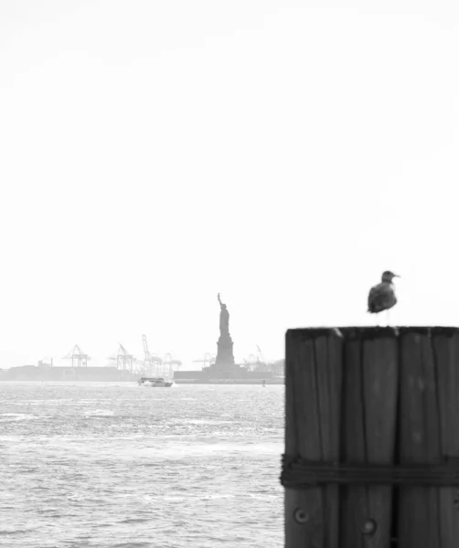 Özgürlük heykeli siyah beyaz. — Stok fotoğraf