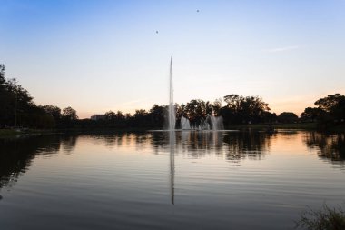 Sao Paulo'daki Ibirapuera Park'ta gün batımı, Brezilya.