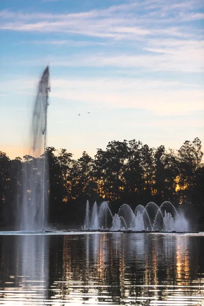 Sunset at the Ibirapuera Park in Sao Paulo, Brazil. — Stock Photo, Image