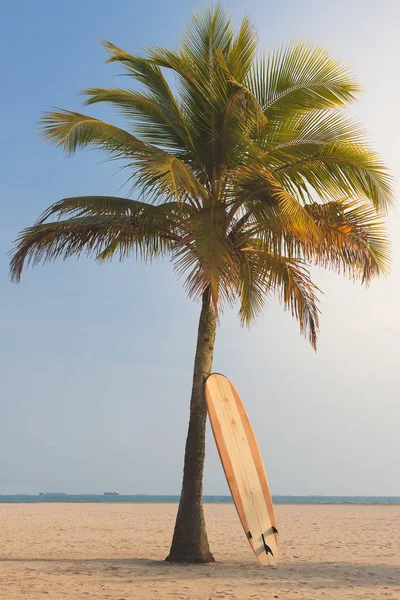 Longboard-Surfbrett lehnt an einer Kokospalme am Meer — Stockfoto