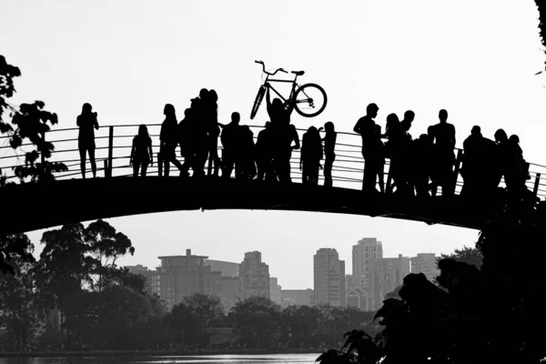 Most přes jezero Ibirapuera v černém a bílém — Stock fotografie