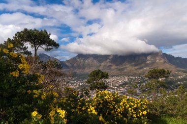 Table Mountain, Cape Town ile panoramik manzara