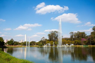 Arka planda Sao Paulo çeşmesi ve dikilitaşlı Ibirapuera Parkı manzarası.