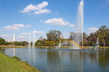 Arka planda Sao Paulo çeşmesi ve dikilitaşlı Ibirapuera Parkı manzarası.
