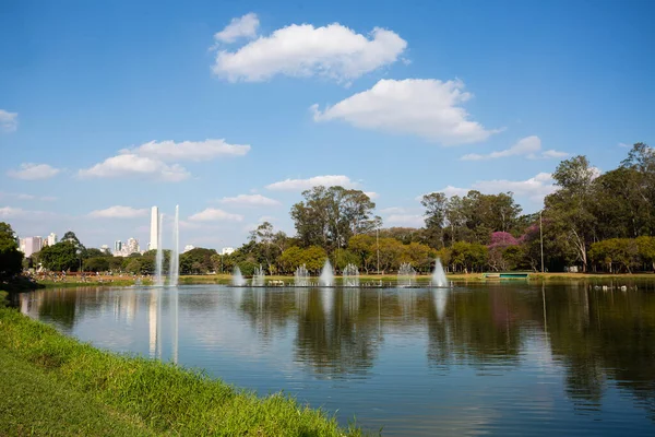 以圣保罗喷泉和方尖碑为背景的Ibirapuera公园景观 — 图库照片