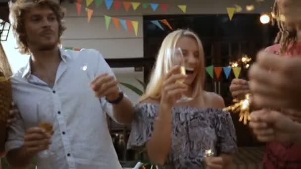 Счастливая компания людей, произносящих тост, веселящихся — стоковое видео
