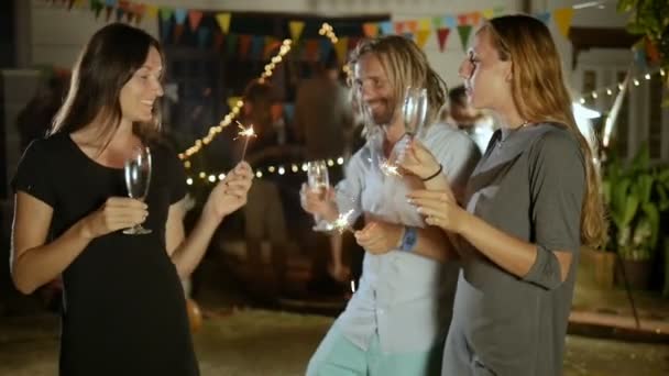 Heureux groupe de personnes qui portent un toast, s'amuser — Video
