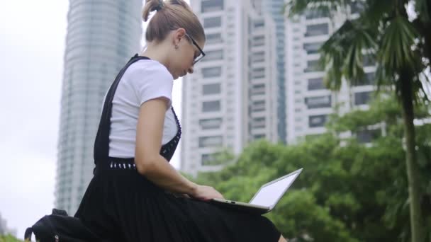 Muchacha atractiva trabajando en el ordenador portátil al aire libre . — Vídeo de stock