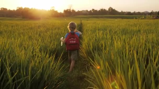 Dziecko w zielonej trawie ryżu pola z baniek mydlanych. — Wideo stockowe