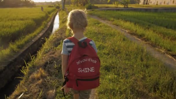 Niño en la hierba verde del campo de arroz camino a casa de la escuela . — Vídeo de stock