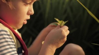 Çocuk çizimleri rüyalar not defterinde yeşil çim yapar